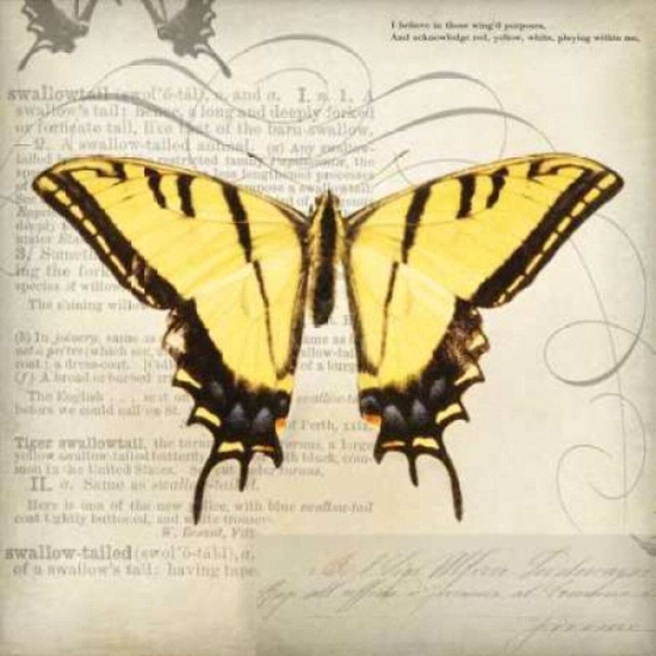 Butterflies Script V Poster Print by Amy Melious - Item # VARPDXMEL420